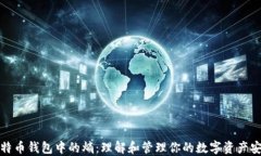 比特币钱包中的熵：理解
