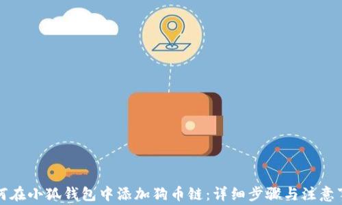 
如何在小狐钱包中添加狗币链：详细步骤与注意事项