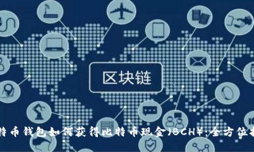 比特币钱包如何获得比特币现金（BCH）：全方位指南