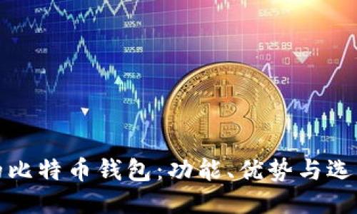 领先的比特币钱包：功能、优势与选购指南