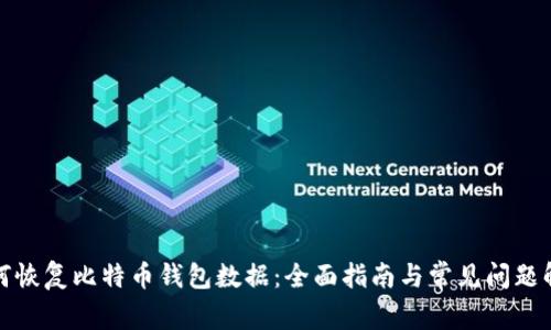 如何恢复比特币钱包数据：全面指南与常见问题解答