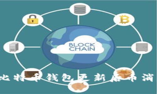 如何解决比特币钱包更新后币消失的问题？