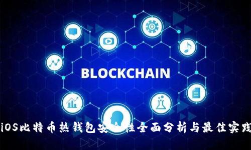 iOS比特币热钱包安全性全面分析与最佳实践