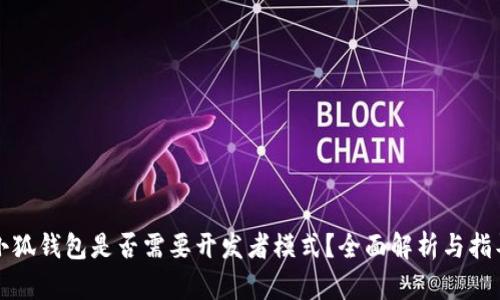 小狐钱包是否需要开发者模式？全面解析与指导