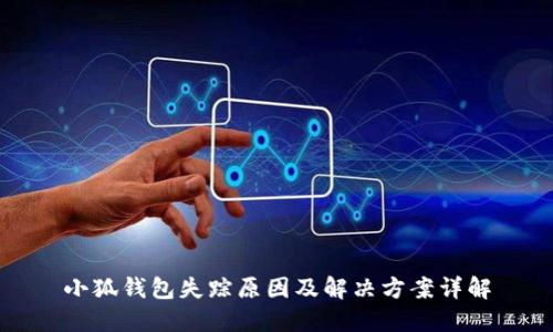 小狐钱包失踪原因及解决方案详解