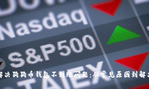 如何解决狗狗币钱包不到账问题：从常见原因到解决方案