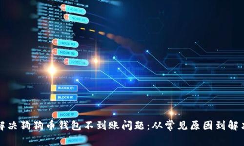 如何解决狗狗币钱包不到账问题：从常见原因到解决方案