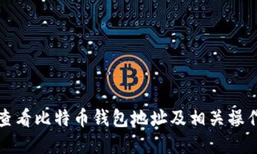 如何查看比特币钱包地址及相关操作详解