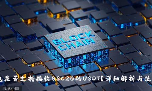 BK钱包是否支持接收BSC20的USDT？详细解析与使用指南