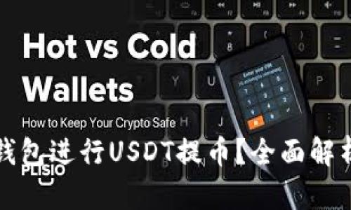 如何选择合适的钱包进行USDT提币？全面解析钱包类型与推荐