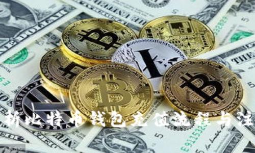 全面解析比特币钱包充值流程与注意事项