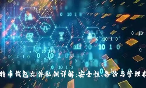 比特币钱包文件私钥详解：安全性、备份与管理指南