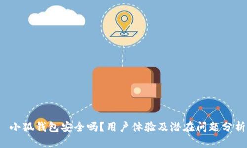  小狐钱包安全吗？用户体验及潜在问题分析