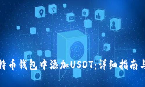 如何在比特币钱包中添加USDT：详细指南与注意事项