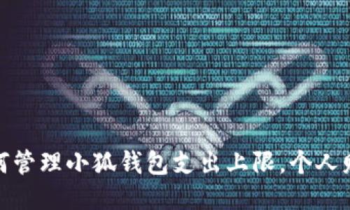 如何管理小狐钱包支出上限，个人财务