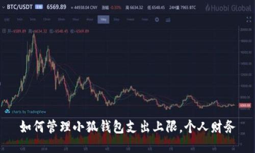 如何管理小狐钱包支出上限，个人财务