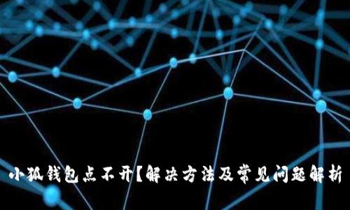 小狐钱包点不开？解决方法及常见问题解析