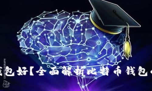 和关键词如下：

比特币存哪个钱包好？全面解析比特币钱包的选择与安全性