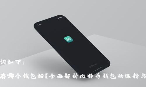 和关键词如下：

比特币存哪个钱包好？全面解析比特币钱包的选择与安全性