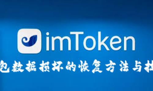 小狐钱包数据损坏的恢复方法与技巧详解
