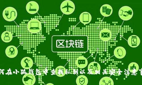 如何在小狐钱包中查找私钥以及相关安全注意事项