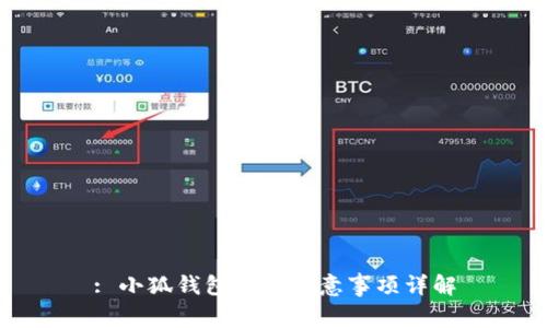 : 小狐钱包使用注意事项详解