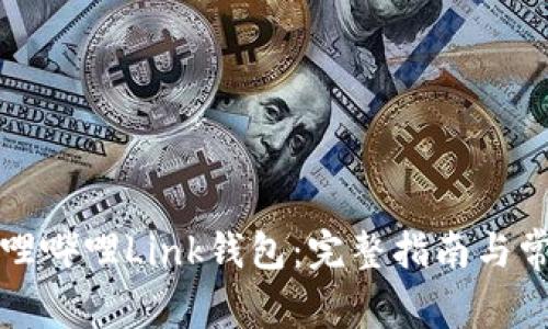 如何找到哔哩哔哩Link钱包：完整指南与常见问题解答