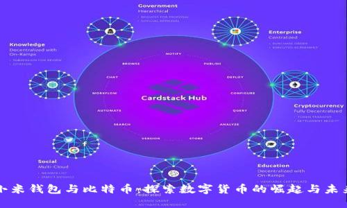 小米钱包与比特币：探索数字货币的崛起与未来