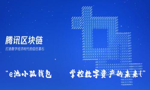 “e池小狐钱包——掌控数字资产的未来！”