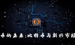 虚拟货币的未来：比特币