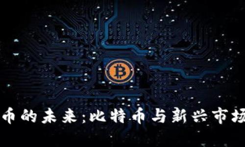 虚拟货币的未来：比特币与新兴市场的碰撞