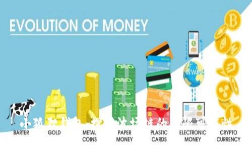 小狐狸钱包：探索波场链的无限可能性