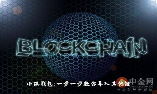 小狐钱包：一步一步教你导入其他链