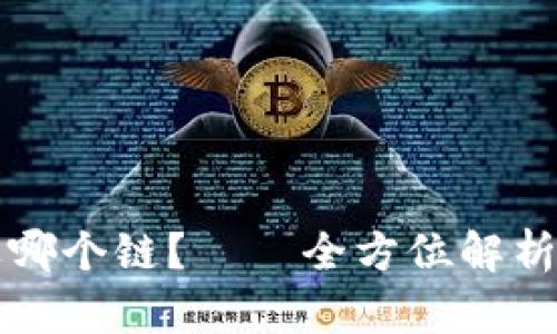 狗狗币存钱包选哪个链？——全方位解析及最佳选择推荐