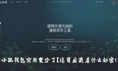 小狐钱包突然变少了？这