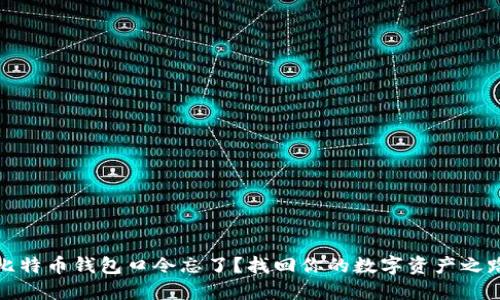 比特币钱包口令忘了？找回你的数字资产之路