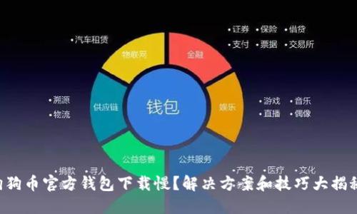 狗狗币官方钱包下载慢？解决方案和技巧大揭秘！