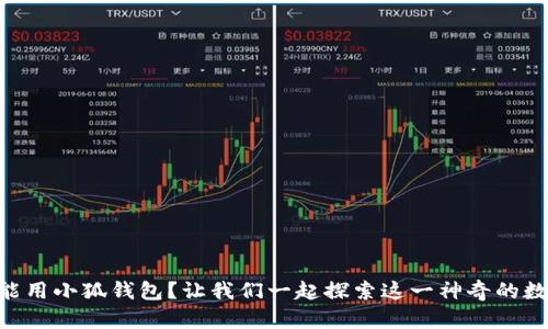 手机也能用小狐钱包？让我们一起探索这一神奇的数字世界！