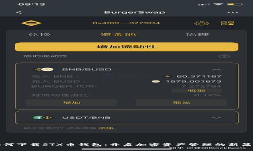 如何下载STX币钱包：开启加密资产管理的新篇章