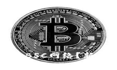 小狐钱包如何快速添加BSC网络？新手指南与常见问题解析