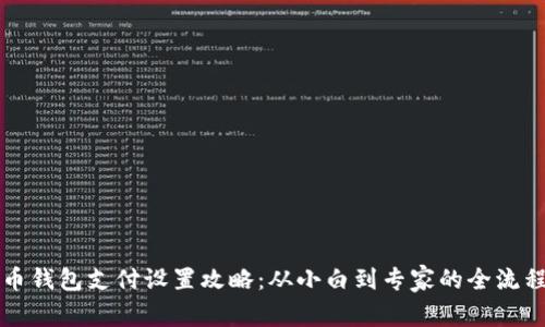 比特币钱包支付设置攻略：从小白到专家的全流程指南