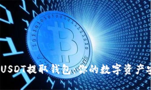 : 揭秘USDT提取钱包：你的数字资产安全港？