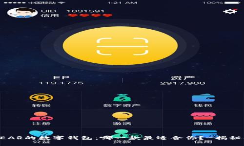 支持NEAR的数字钱包：哪一款最适合你？-揭秘及比较