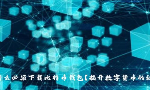 为什么必须下载比特币钱包？揭开数字货币的秘密！