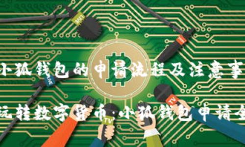 了解小狐钱包的申请流程及注意事项  

轻松玩转数字货币：小狐钱包申请全攻略