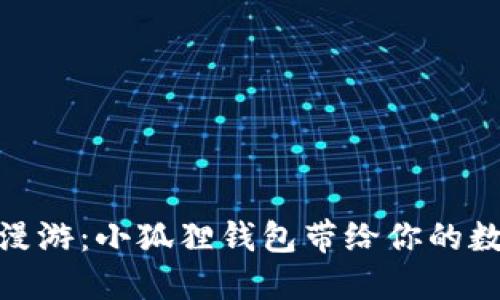 在太空国度中漫游：小狐狸钱包带给你的数字资产新体验