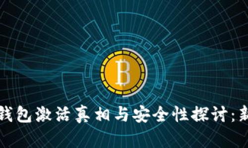 比特币钱包激活真相与安全性探讨：新手必看