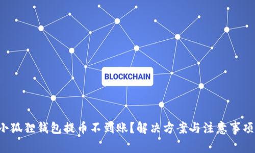 小狐狸钱包提币不到账？解决方案与注意事项！