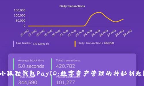小狐狸钱包PayID：数字资产管理的神秘钥匙？