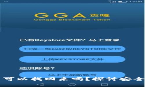 盗钱包虚拟币可以找回来吗？探讨安全与挽回的真相
